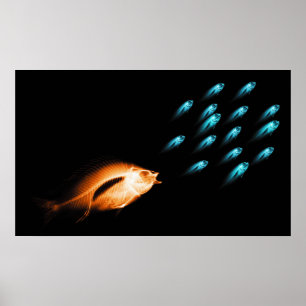 PÓSTER OS PEIXES DO RAIO X PERSEGUEM O ORIGINAL PRETO