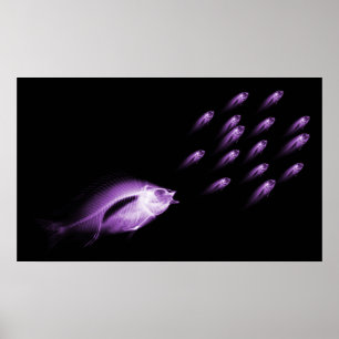 POSTER OS PEIXES DO RAIO X PERSEGUEM O ROXO PRETO
