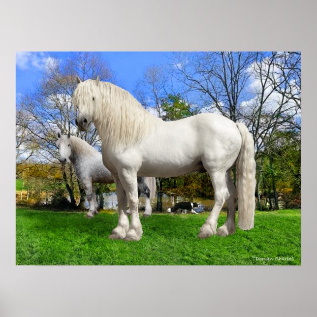Poster Os Percherons (Frente)