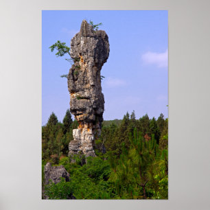 Poster Os pináculos de Shilin apedrejam a floresta -