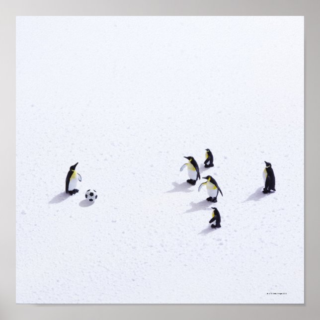 Póster Os pinguins jogando futebol (Frente)