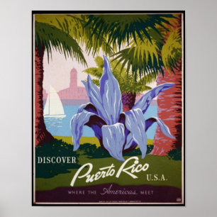 Póster Os posteres vintage, descobrem Puerto Rico EUA