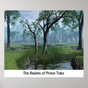 Póster Os reinos do príncipe Tobo