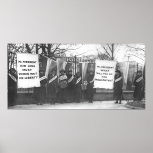 Poster Os Suffragettes colocam estacas a casa branca