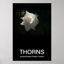 Poster Os Thorns Às Vezes Têm Rosa Demotivacional