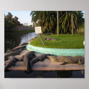 Póster Os Trespassers serão comidos!