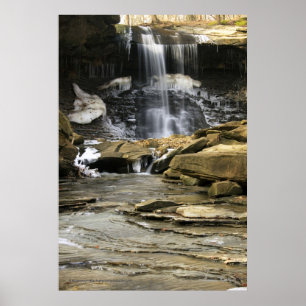 Poster Os últimos remanescentes do inverno