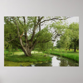 Poster Os verdes de grande pre