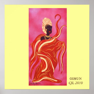 POSTER OSHUNCJL 2010