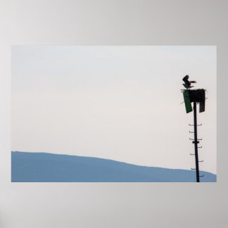 Poster Osprey em Frente ao Monte Desert Island, Maine