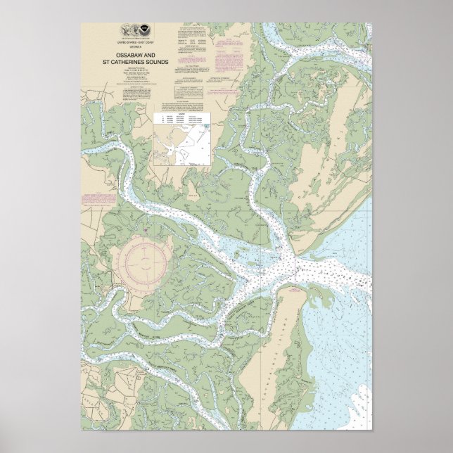 Poster Ossabaw e Ruas - Sons Gráfico 11511 (Frente)