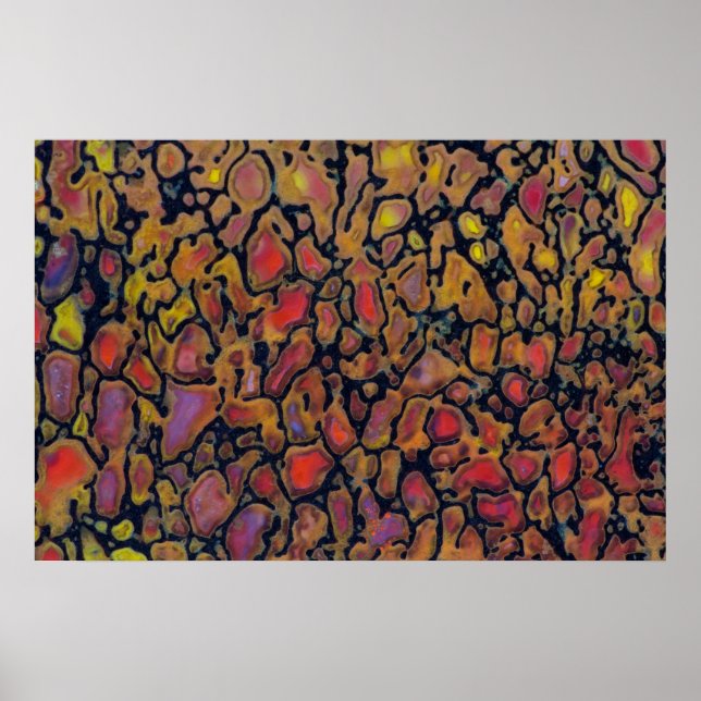 Poster Osso de Dinossauro com Padrões (Frente)