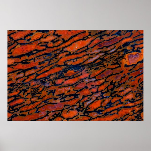 Póster Osso do dinossauro Petrificado vermelho (Frente)