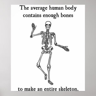 Poster Ossos do Esqueleto no Corpo Humano Médio