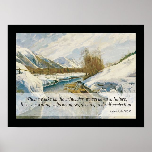 Póster Osteopática - Citação por A.T. (Frente)