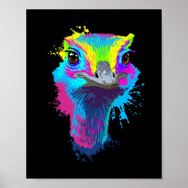 Poster Ostrich Colorful Bird Lover Ostriques (Frente)
