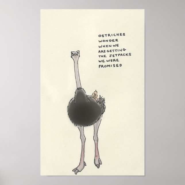 Poster ostrich trivia (Frente)