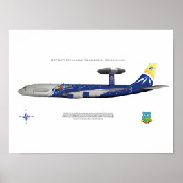 Poster OTAN E-3A, Marcações do 25