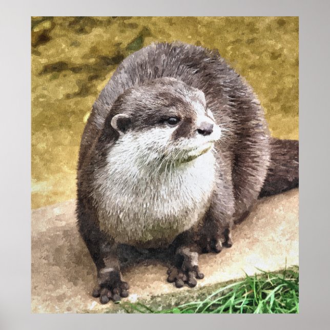 PÓSTER OTTER (Frente)