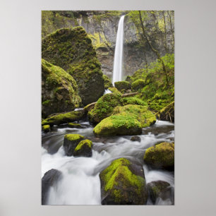 Poster OU, Garganta do Rio Columbia, Elowah Falls e