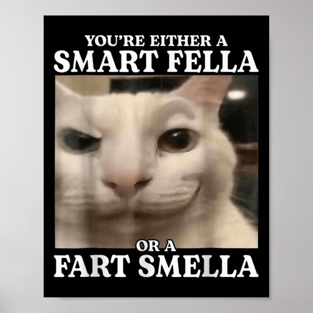 Poster Ou você é um Smart Fella ou um Fart Smella Cat F (Frente)