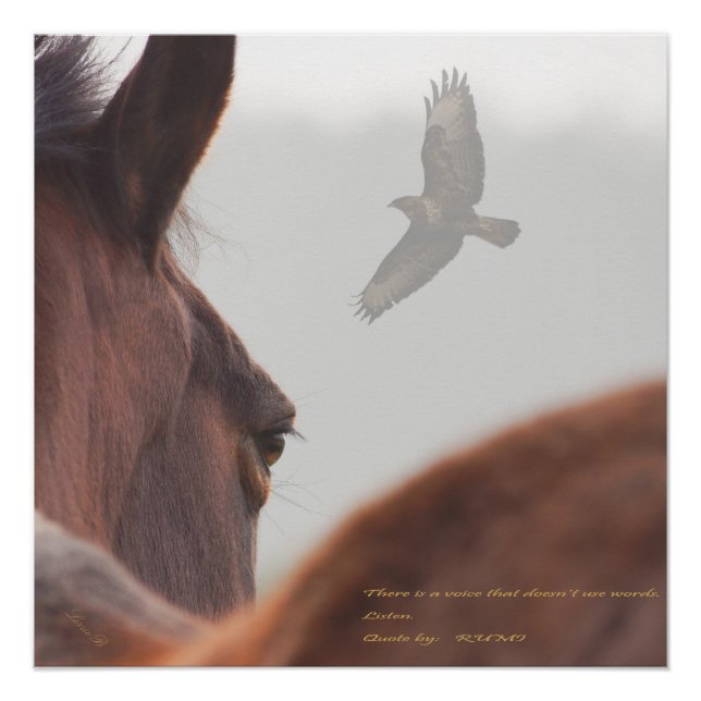 Póster Ouça (Frente)