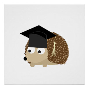 Póster Ouriço da graduação