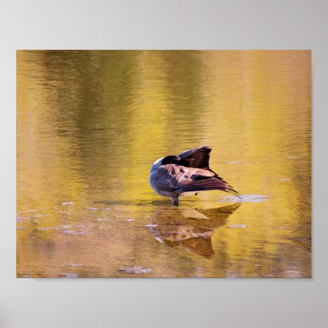 Póster Ouro (Frente)