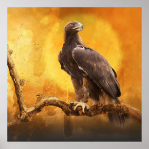 Poster Ouro Águia O OURO UM