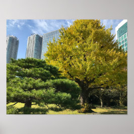 Poster Ouro Amarelo Ginkgo e Pine Tree