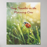 Ouro de manhã Ladybug: Beleza mastigada da naturez
