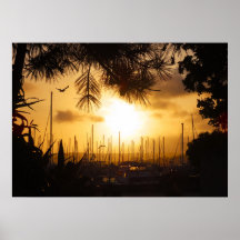 Ouro do Sol sobre o porto