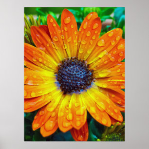 Poster Ouro grande Flower Close para cima