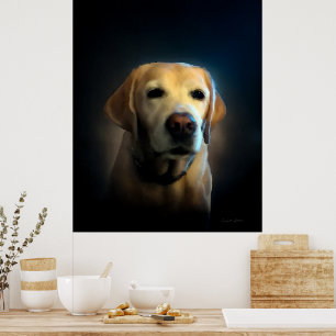 Poster Ouro Labrador