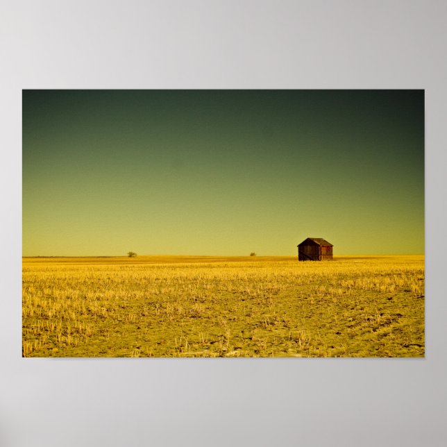 Poster ouro nada (Frente)