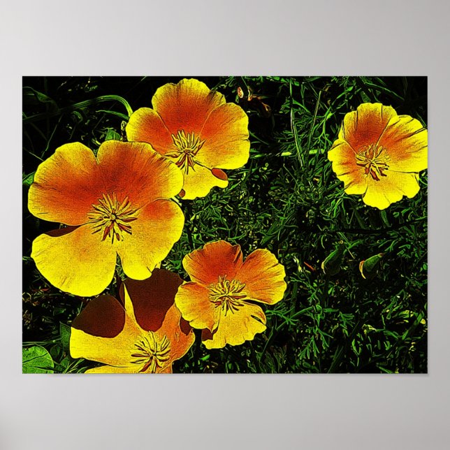 Poster Ouro Poppies (Frente)
