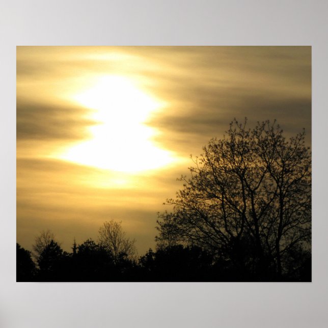 Poster Ouro por Sol com Árvores Silhuetadas (Frente)