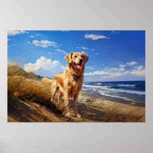Poster Ouro recuperador na praia