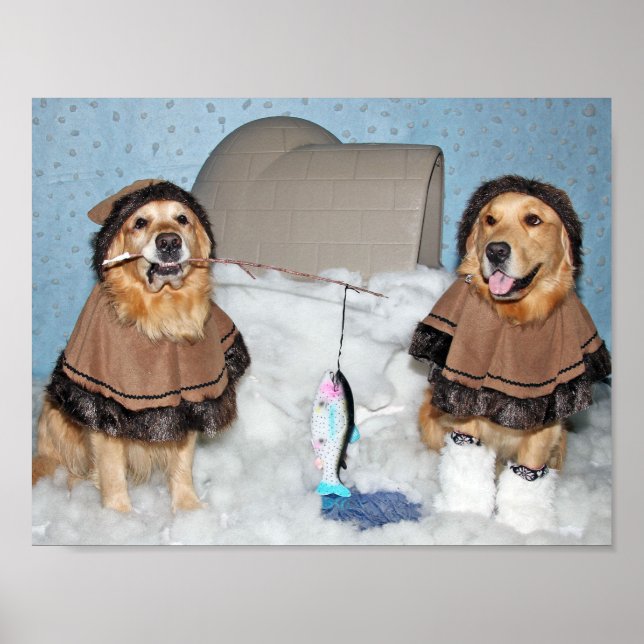 Poster Ouro Retriever Eskimos (Frente)