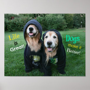 Póster Ouro Retriever Life é Excelente