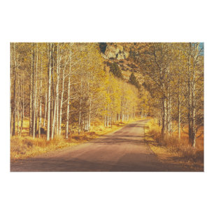Póster Ouro Road