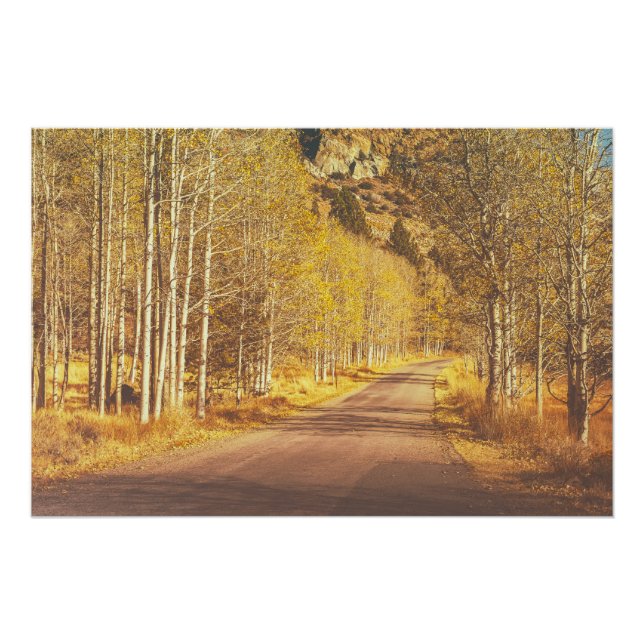 Póster Ouro Road (Frente)