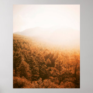 POSTER OURO SON SOBRE UMA FLORESTA