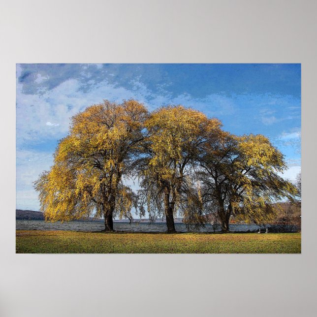 Poster Ouro Willows (Frente)