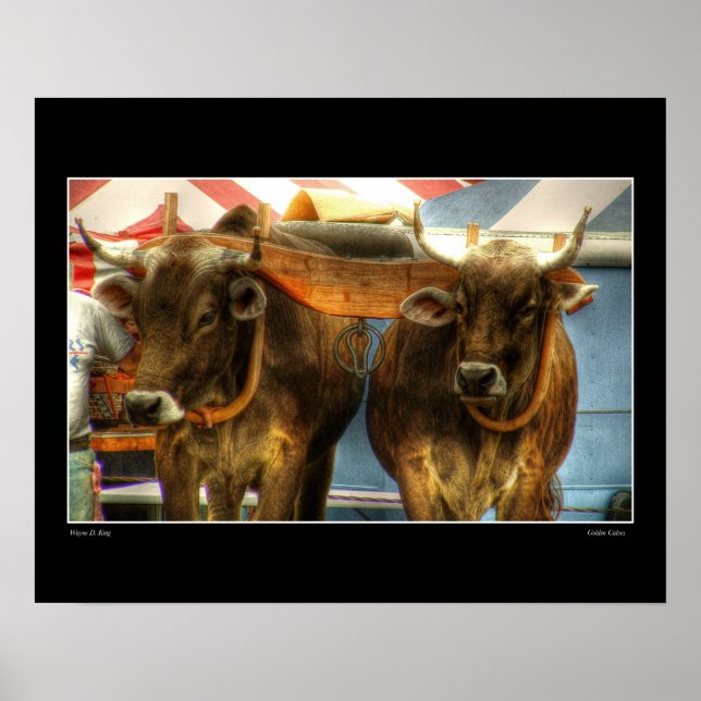 Póster Ouros (Frente)