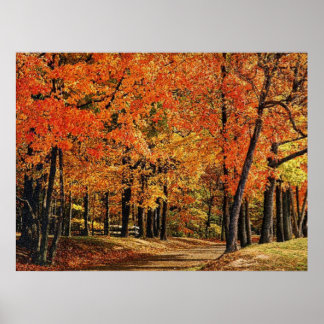 Póster Outono 30
