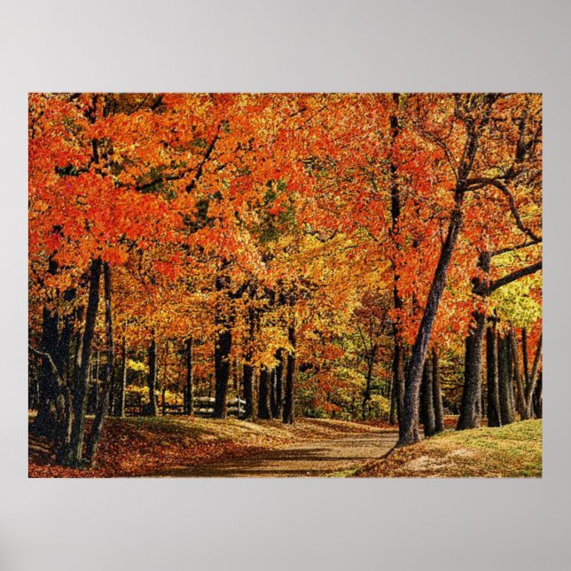 Póster Outono 30 (Frente)
