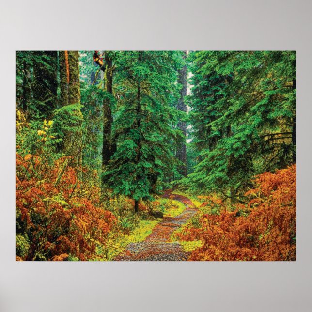 Póster Outono 31 cmyk (Frente)