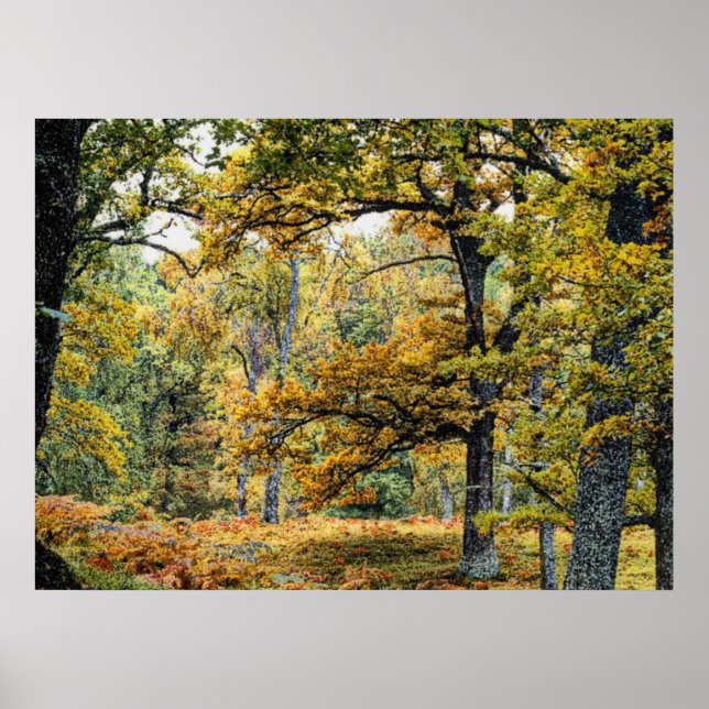 Póster Outono 34 (Frente)