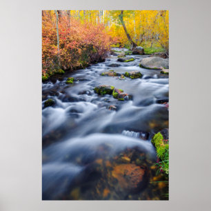 Póster Outono ao longo do Lundy Creek, Califórnia